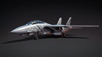 War Thunder - F-14D Bundle