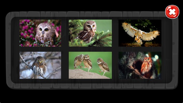 Owl Jigsaw Puzzles screenshot 1