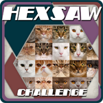 HexSaw - Challenge