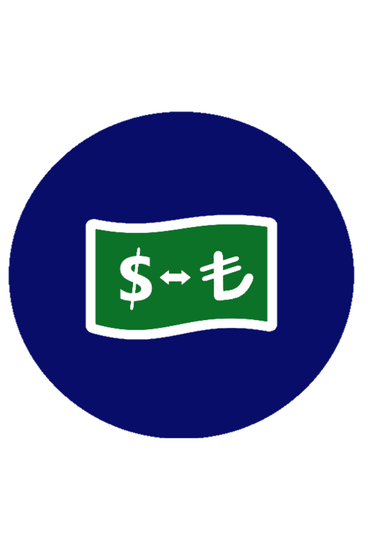 Currency Rates of National Bank of Turkey
