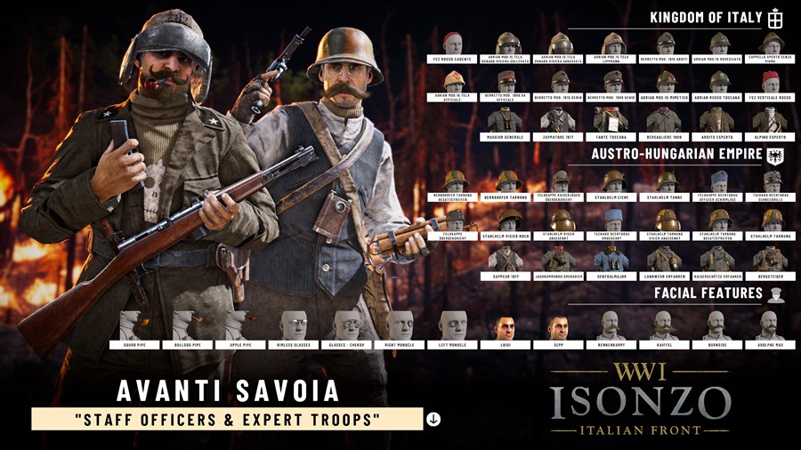 Full Size Image