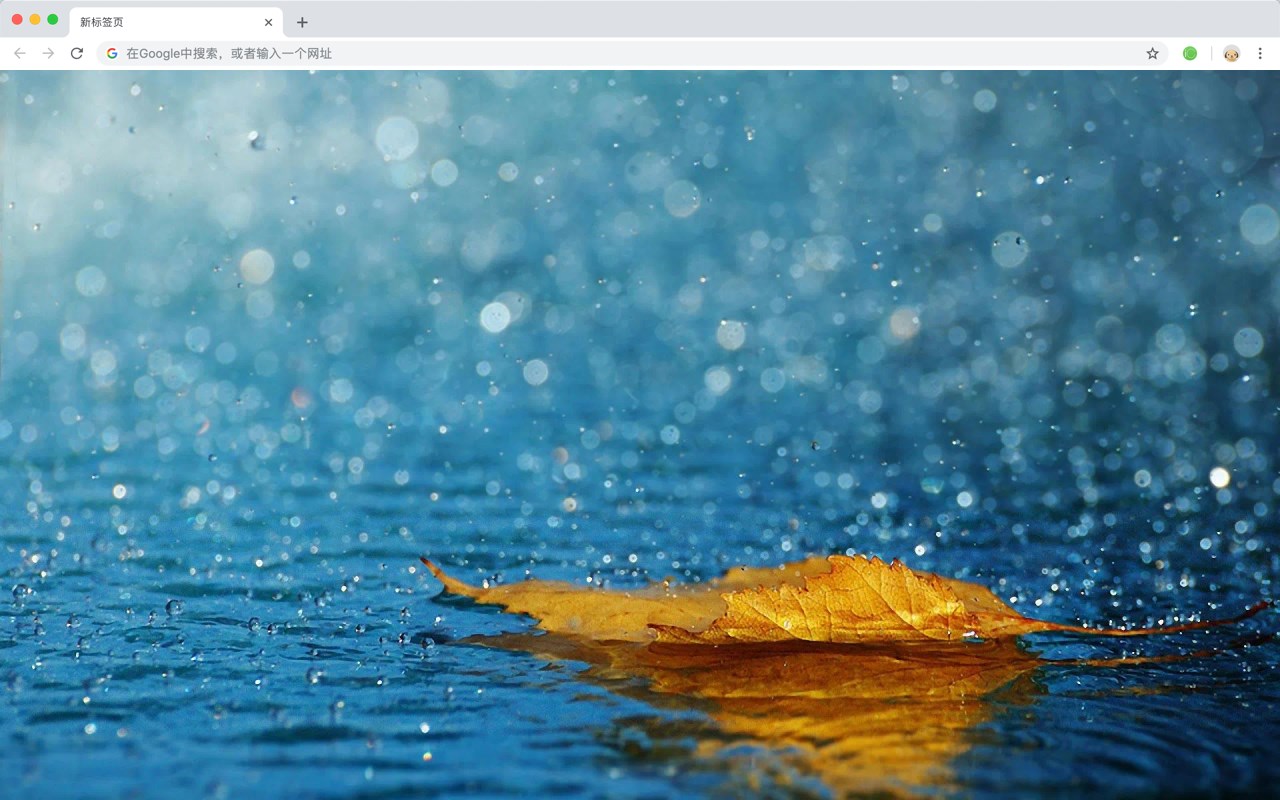 Rainy Wallpaper HD HomePage