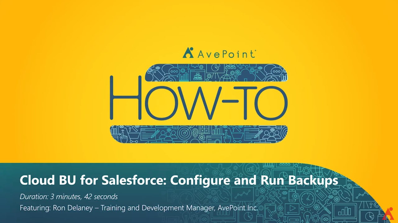 Snapshot 1 of Cloud Backup for Salesforce