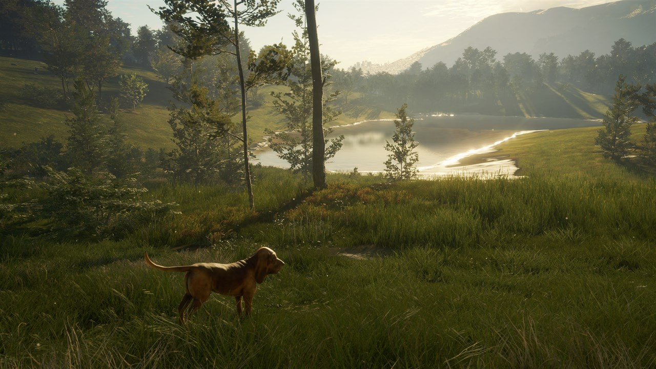 theHunter: Call of the Wild™ - Hunting Starter Bundle screenshot 3