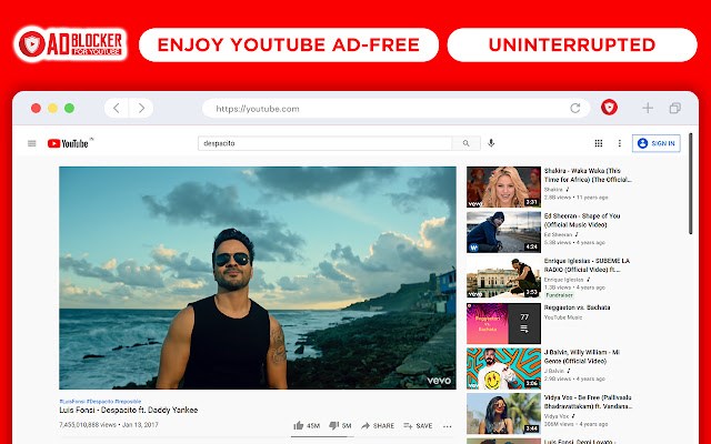 Adblock for youtube™