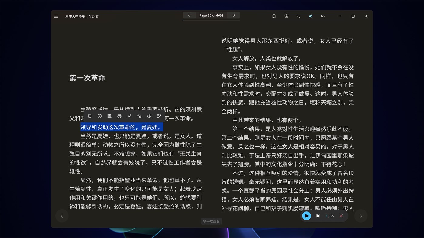 #3. Rodel Reader (Windows) Przez: 云之幻