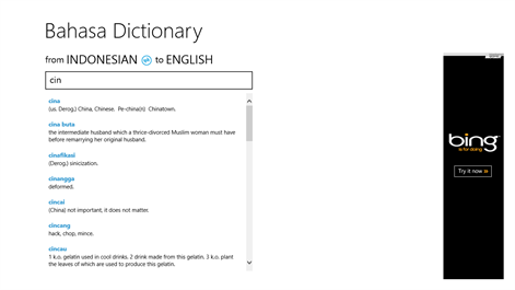 Bahasa Dictionary Screenshots 2