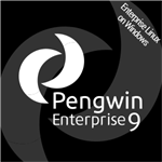 Pengwin Enterprise 9 Logo