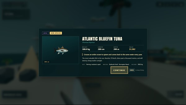 How To Catch Fish — 4