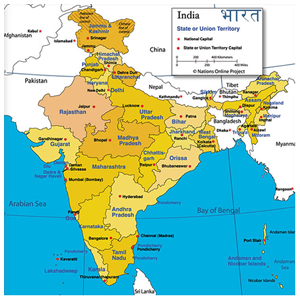 The Great Indian History
