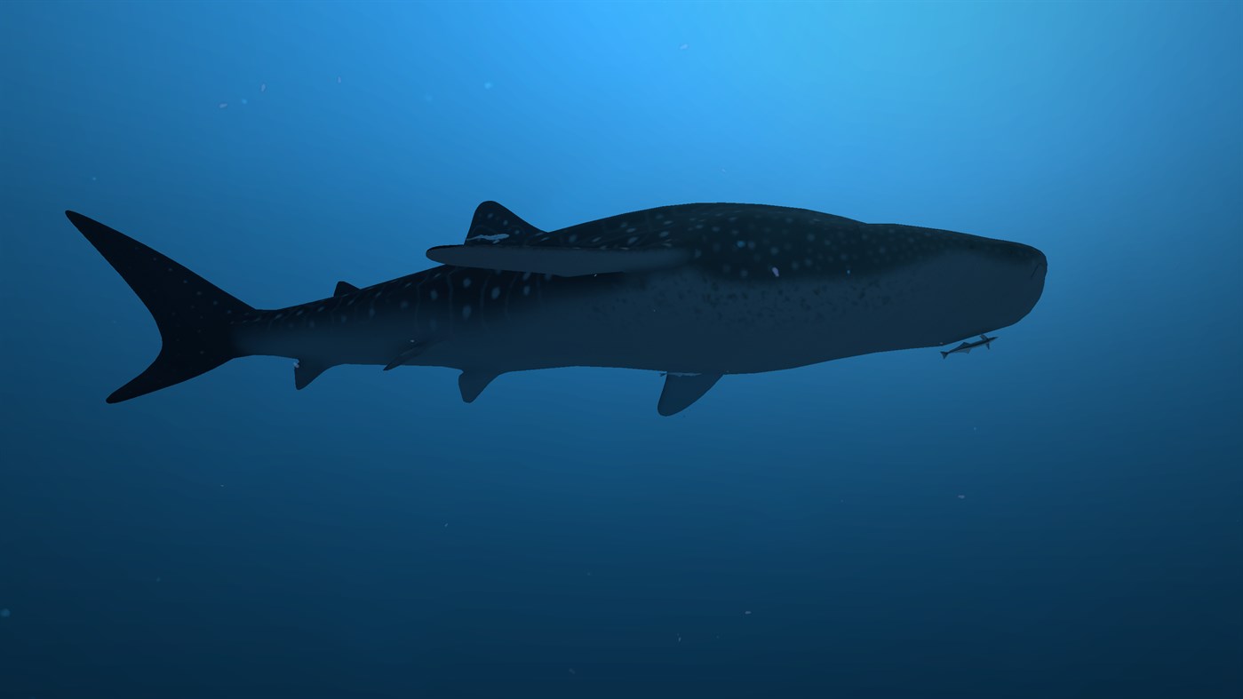 #4. Dive with Sylvia (Windows) โดย: Cascade Game Foundry