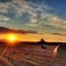 Community Showcase Rural Landscapes