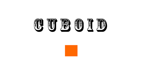 Cuboid