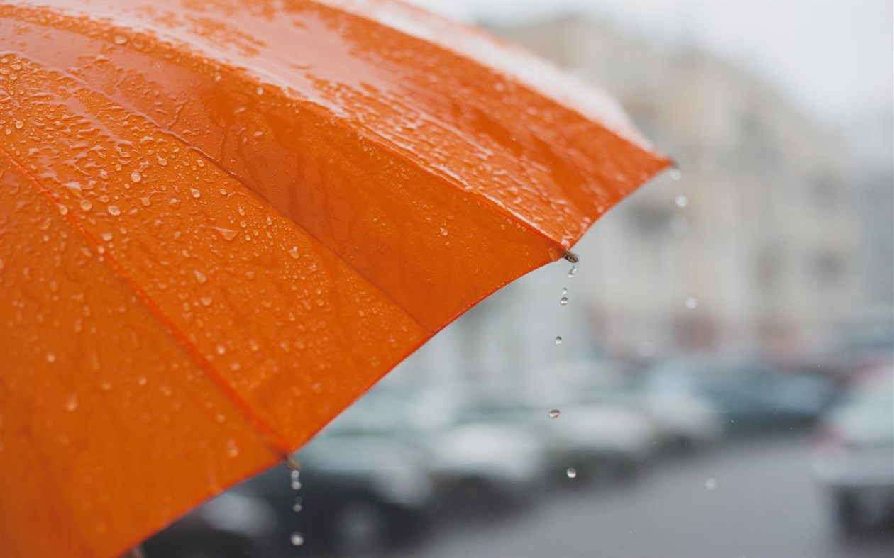 #4. Umbrellas (Windows) 由: Microsoft Corporation