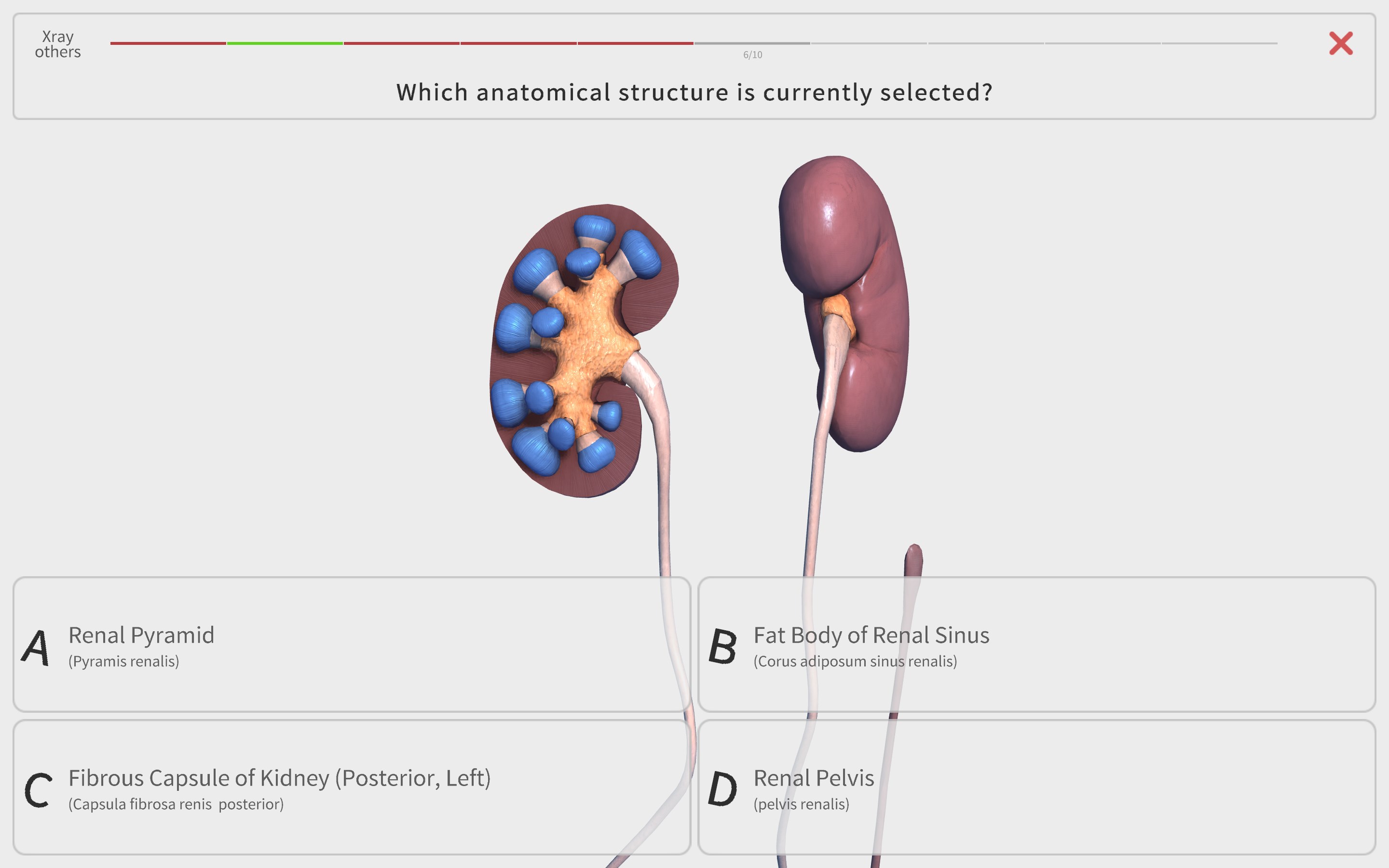 Visual Anatomy 3D - Human screenshot