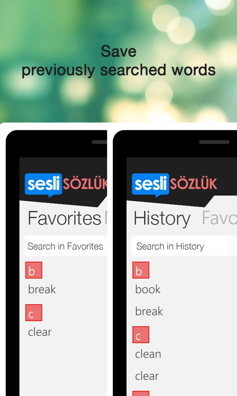Sesli Sözlük for Windows 10