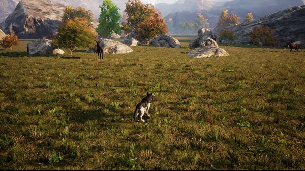 Western Wolf Hunter: The Dead Forest — 12