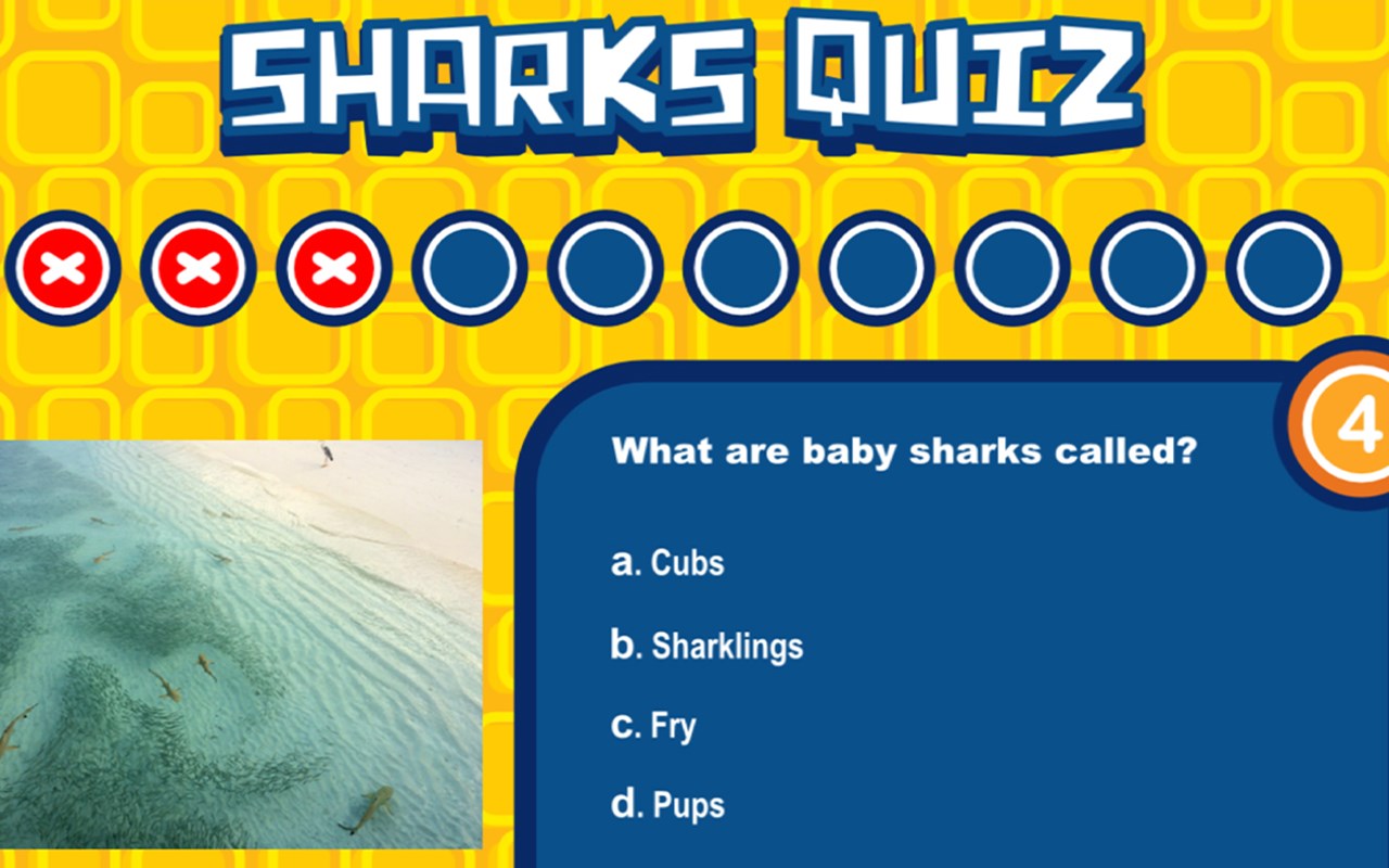 Sharks Quiz Game