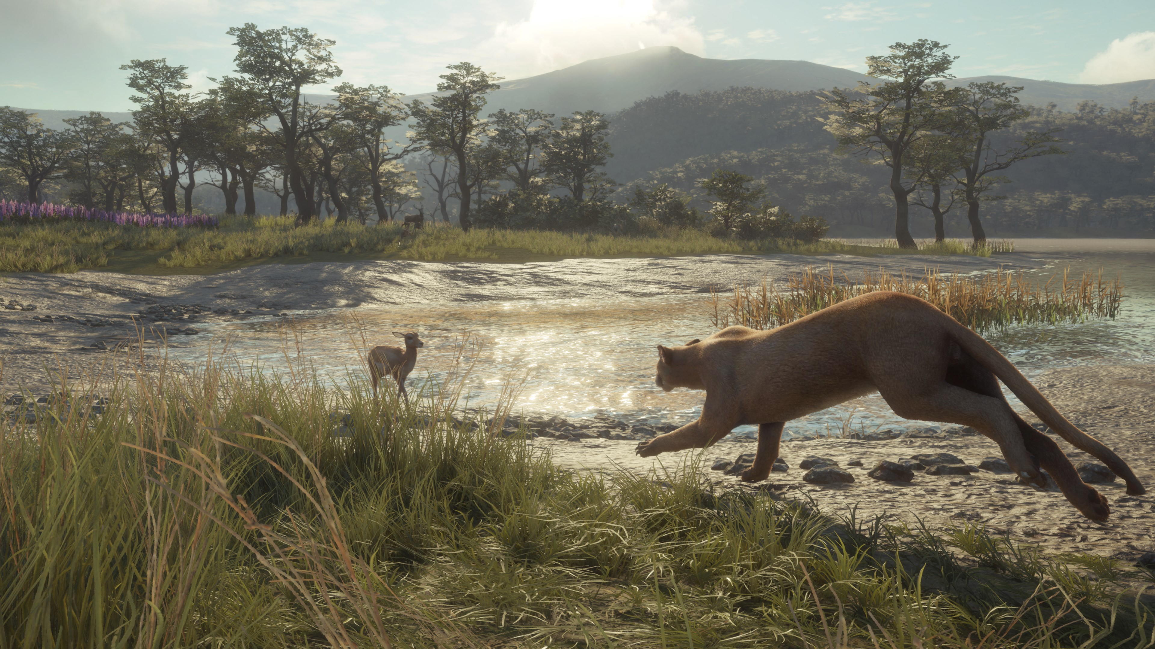 theHunter: Call of the Wild™ - Parque Fernando - Windows 10 | Xbox | Chiave | Privato