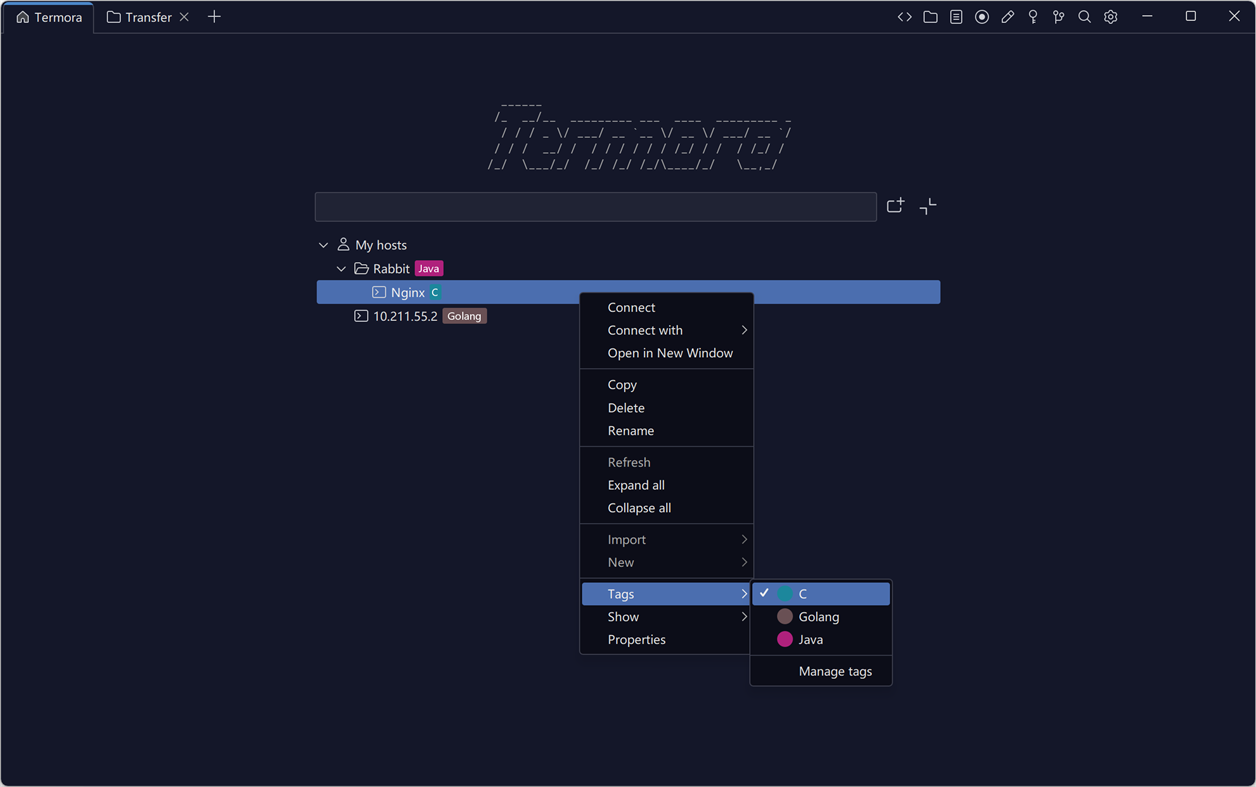 #4. Termora (Windows) 게시자: TermoraDev