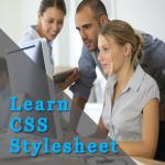 Download Learn CSS Stylesheet
