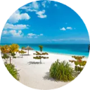 Zanzibar Wallpaper New Tab icon