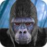 Wild Animal Simulator-Life of Gorilla