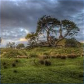 Aucklands One Tree Hill by Ian Rushton