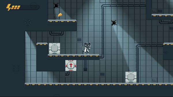 Rattyvity Lab — 5