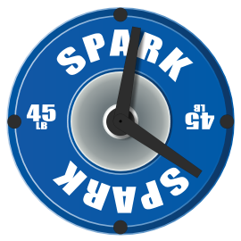 Spark Timer