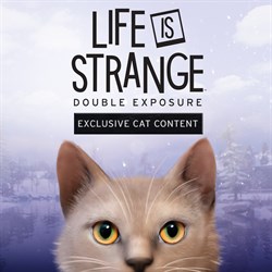 КОНТЕНТ С КОТИКАМИ