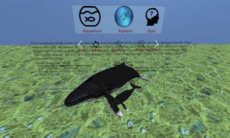 HoloLens Aquarium Screenshots 2