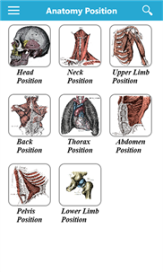 Gray's Anatomy Lite screenshot 3