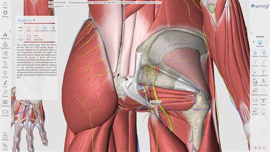 3D Organon Anatomy screenshot 7