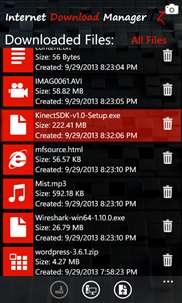 Internet Download Manager [LZ] Pro screenshot 6