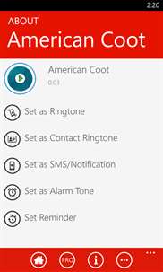 Bird Sound Ringtones - Best Ringtone App screenshot 2