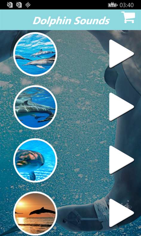 Relaxing Dolphin Sounds:Dolphins Sound With Soothing Music Screenshots 1