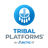 Tribal Platforms icon