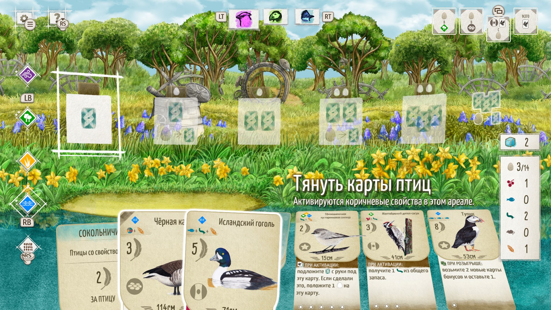 Wingspan + European + Oceania + Asia + Decorative Packs — скриншот 9