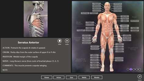 Muscle and Bone Anatomy 3D Screenshots 2