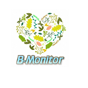 B-Monitor