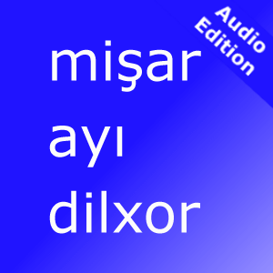 English - Azerbaijani Audio Flash Cards