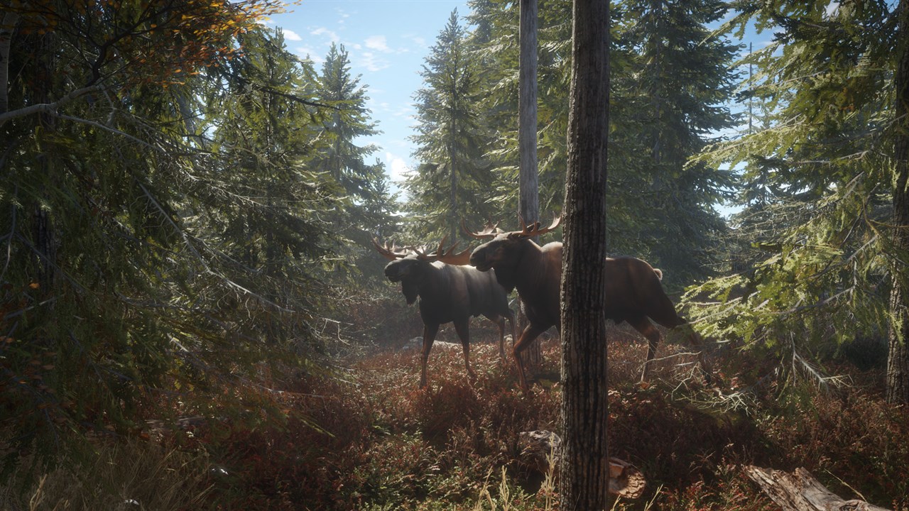 theHunter: Call of the Wild™ - Windows 10 screenshot 1
