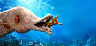 Feed and grow fish World screenshot 2