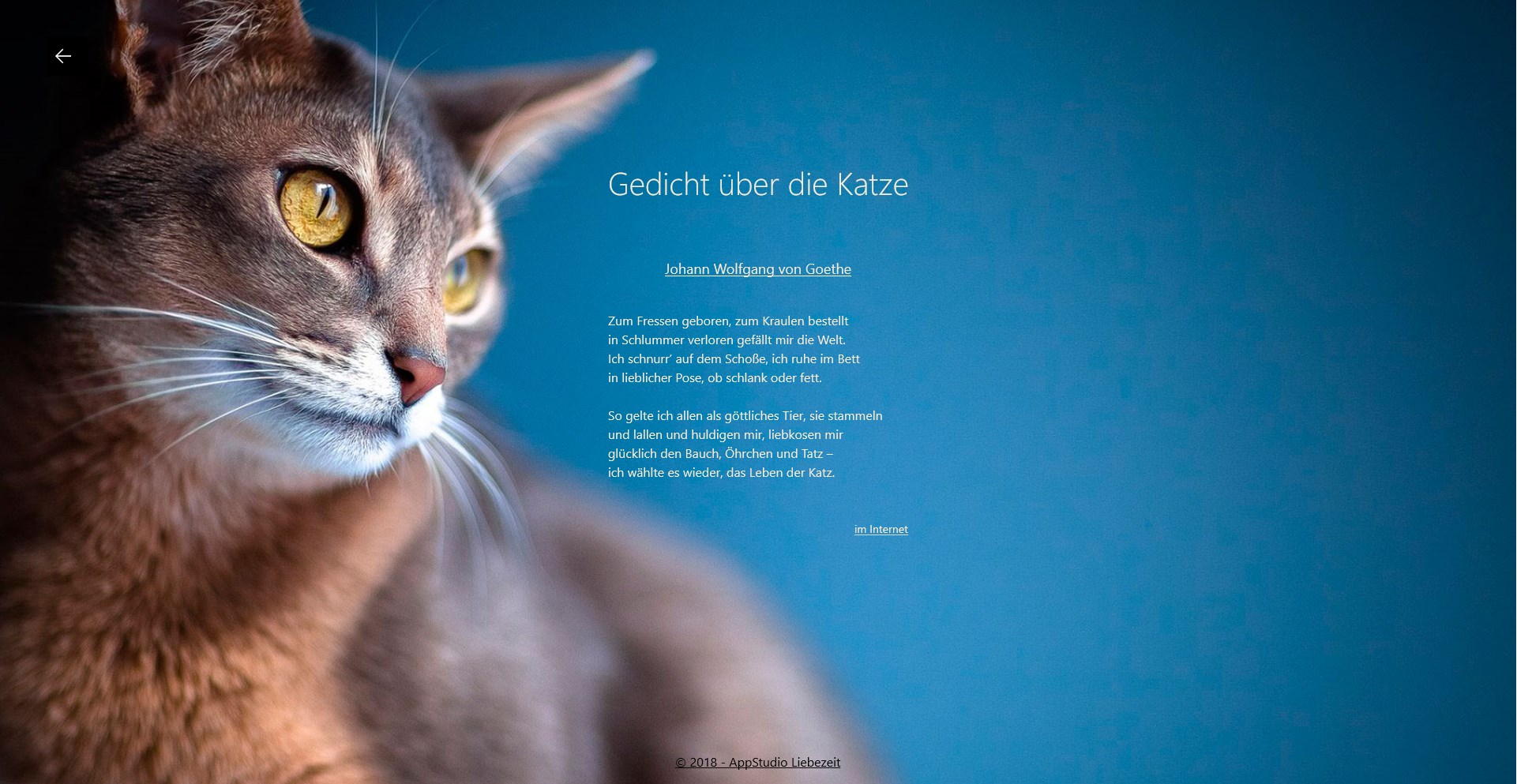 【图】Katzengedichte(截图3)