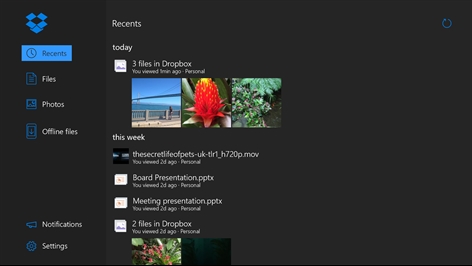 Dropbox Screenshot