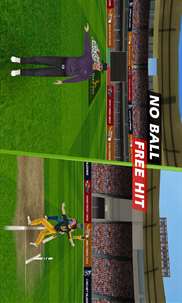 World Cricket Championship Lite screenshot 3