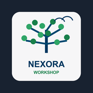 nexora_workshop - Free download and install on Windows | Microsoft Store