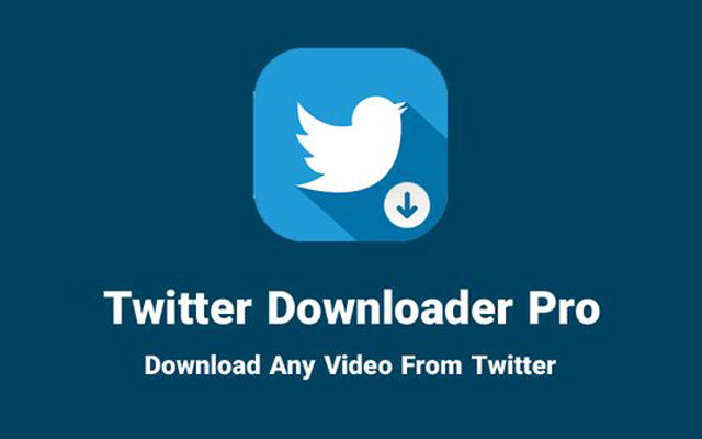 Twitter Downloader Pro 2023