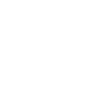 NZ Traffic